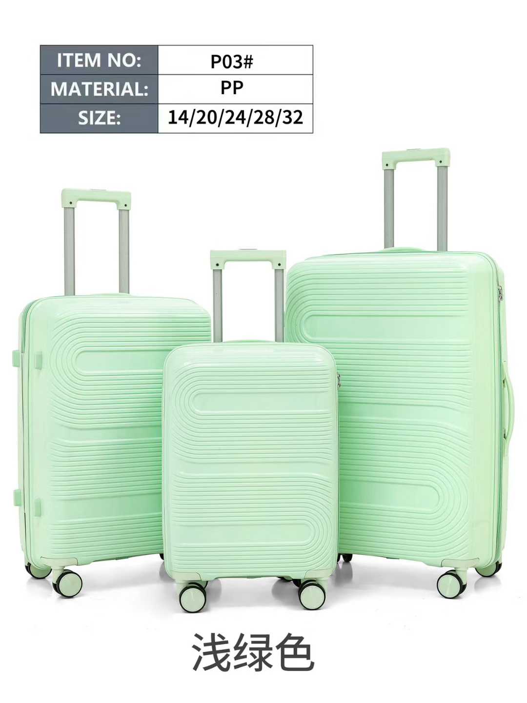 LUGGAGE P03